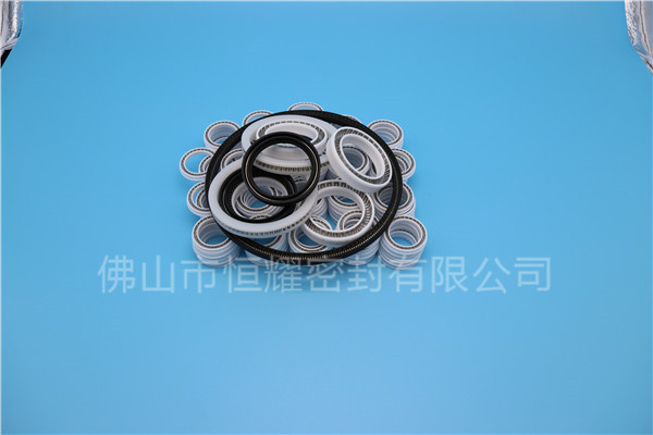 HOB、HVB孔用泛塞封 (7)