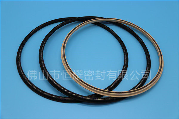 HOD、HVD旋轉(zhuǎn)泛塞封 (17)