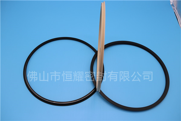 HOD、HVD旋轉(zhuǎn)泛塞封 (18)