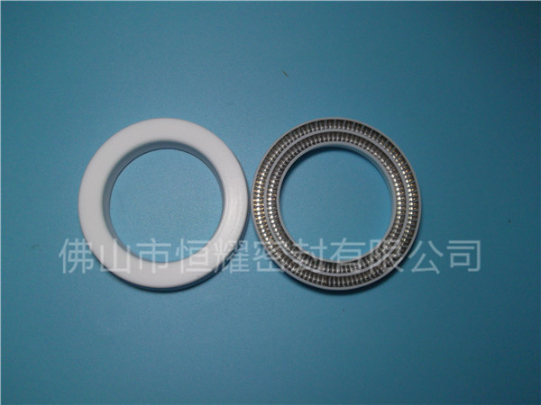 HOC、HVC孔軸兩用泛塞封 (16)