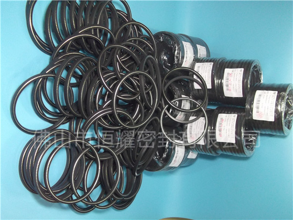 HOC、HVC孔軸兩用泛塞封 (9)