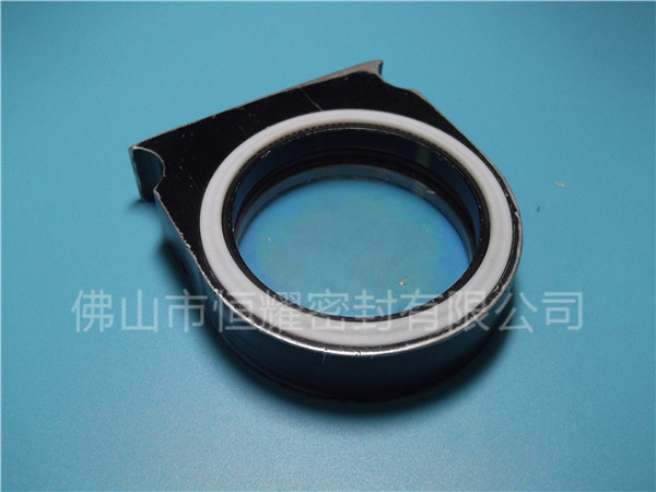 HVF、HVG端面內(nèi)、外向泛塞封 (2)