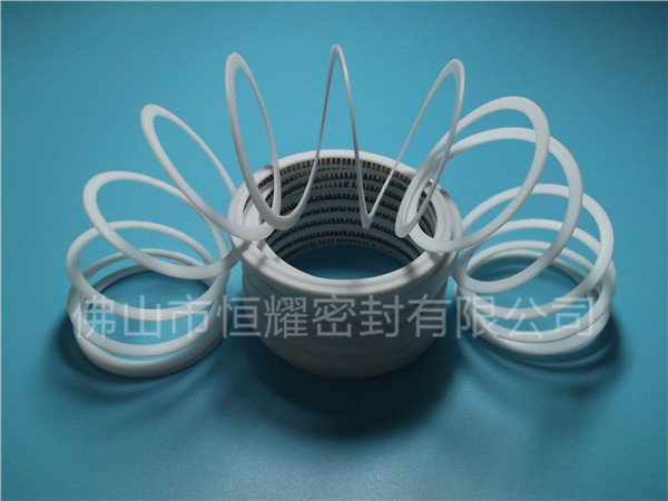 HVF、HVG端面內(nèi)、外向泛塞封 (7)