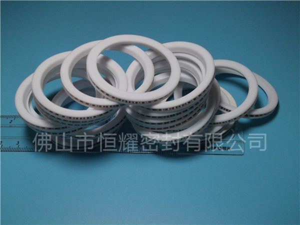 HVF、HVG端面內(nèi)、外向泛塞封 (8)