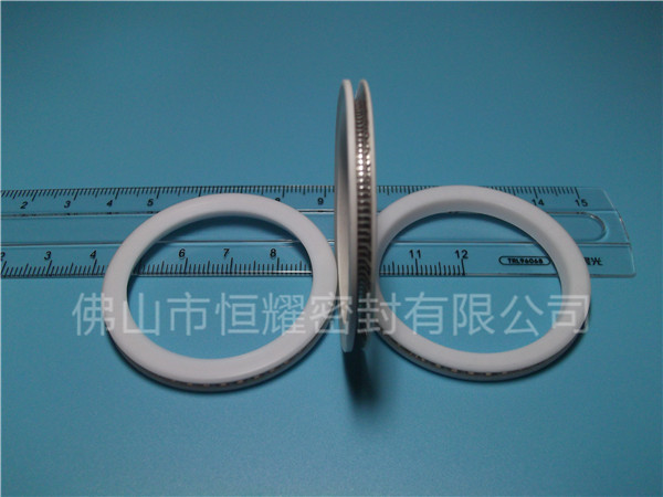 HVF、HVG端面內、外向泛塞封 (10)