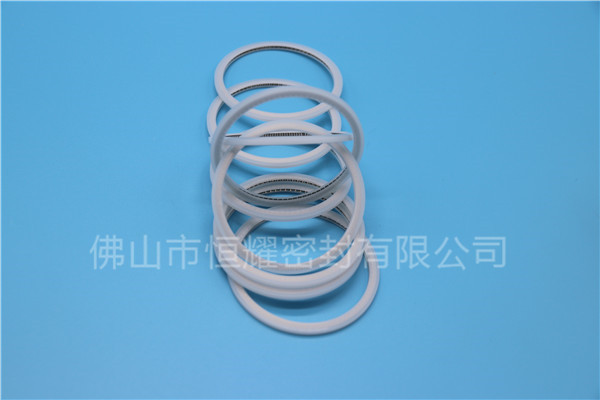 HVF、HVG端面內(nèi)、外向泛塞封 (15)