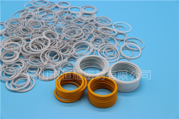 HVF、HVG端面內(nèi)、外向泛塞封 (17)