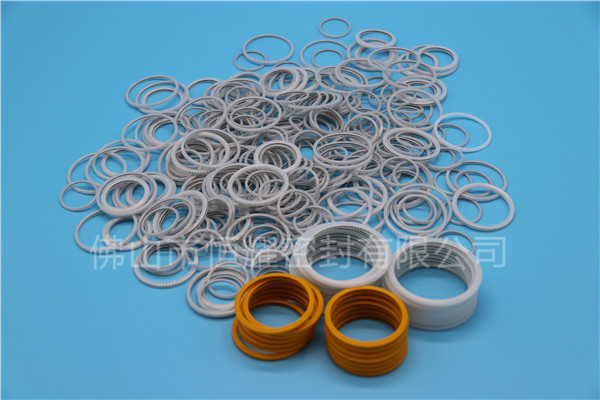 HVF、HVG端面內(nèi)、外向泛塞封 (18)