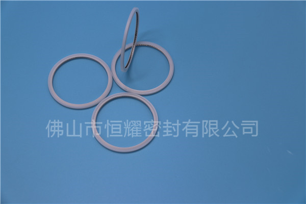 HVF、HVG端面內(nèi)、外向泛塞封 (20)