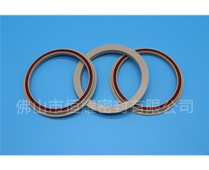 食品機(jī)械密封件 (27)