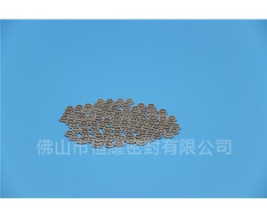 點(diǎn)膠機(jī)泛塞封 (30)