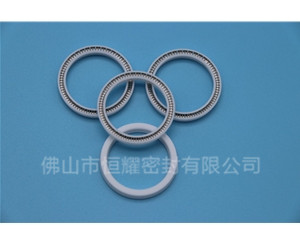 HOA、HVA軸用泛塞封 (13)