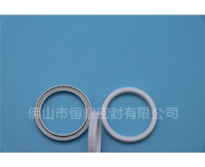 HOA、HVA軸用泛塞封 (16)