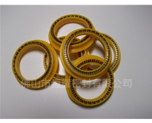 HOD、HVD旋轉(zhuǎn)泛塞封 (9)