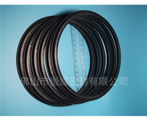 HOD、HVD旋轉(zhuǎn)泛塞封 (11)