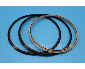 HOD、HVD旋轉(zhuǎn)泛塞封 (17)