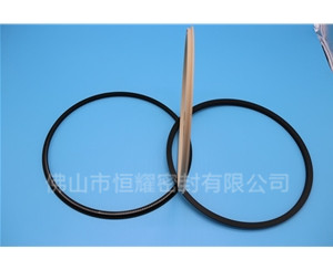 HOD、HVD旋轉(zhuǎn)泛塞封 (18)