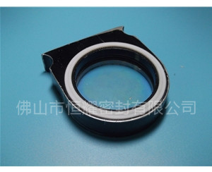 HVF、HVG端面內(nèi)、外向泛塞封 (2)