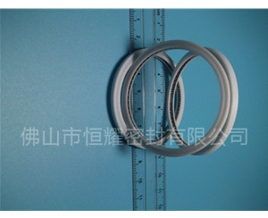 HVF、HVG端面內(nèi)、外向泛塞封 (6)