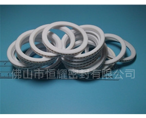 HVF、HVG端面內(nèi)、外向泛塞封 (8)