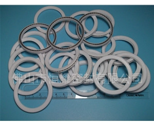 HVF、HVG端面內(nèi)、外向泛塞封 (9)