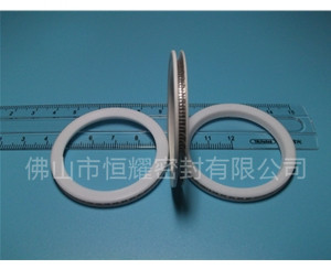 HVF、HVG端面內(nèi)、外向泛塞封 (10)