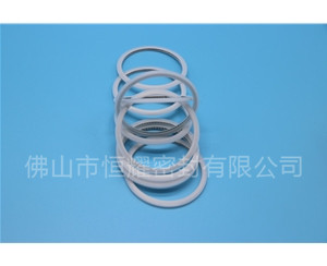 HVF、HVG端面內(nèi)、外向泛塞封 (15)