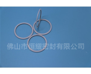 HVF、HVG端面內(nèi)、外向泛塞封 (20)