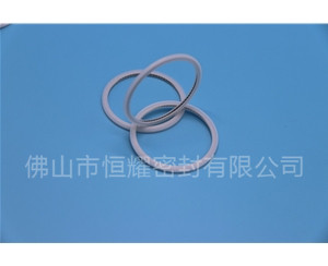 HVF、HVG端面內(nèi)、外向泛塞封 (21)