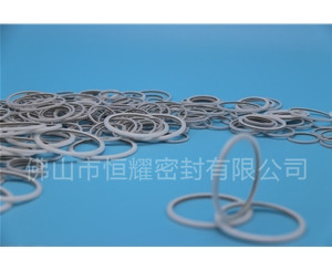 HVF、HVG端面內(nèi)、外向泛塞封 (23)